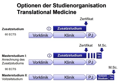 Studium, Optionen der Organisation