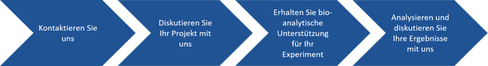 Pfeile mit Text: 1. Kontaktieren Sie uns 2. Diskutieren Sie Ihr Projekt mit uns 3. Erhaltn Sie bioanalytische Unterstützung für Ihr Experiment 4. Analysieren und diskutieren Sie Ihre Ergebnisse mit uns