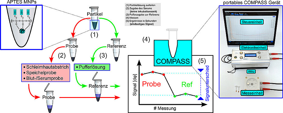 Mit dem neuartigen COMPASS-Test lassen sich in wenigen Sekunden Antikörper gegen SARS-CoV-2 nachweisen.