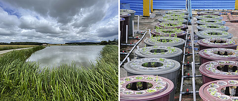 Wirtschaftlich genutzte Stillgewässer vereinen Tradition und Technologie. Links: Im Aischgrund betreiben Menschen sind vielen Jahrhunderten Karpfenzucht. Rechts: Moderne Aquaponik-Anlagen vereinen Fischzucht mit dem Anbau von Pflanzen.