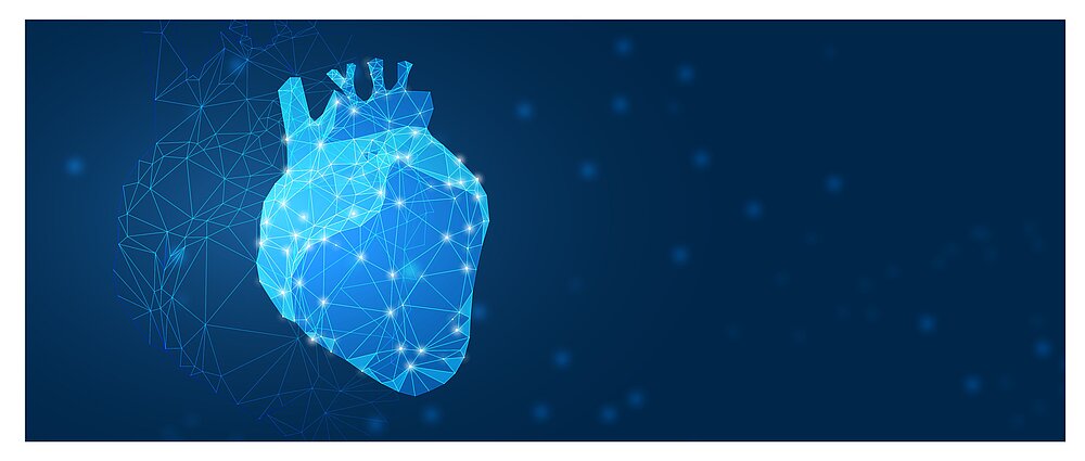 Photo Immunology Wuerzburg Cardiovascular Immunology