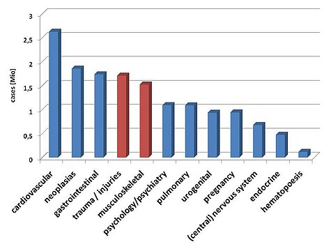 Cases per year by diagnosis for Germany in 2007 with highlighted numbers for musculoskeletal diseases and injuries. (http://www.gbe-bund.de)