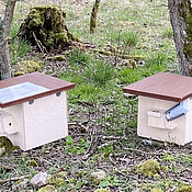 Hummel-Nistkästen im Feld.