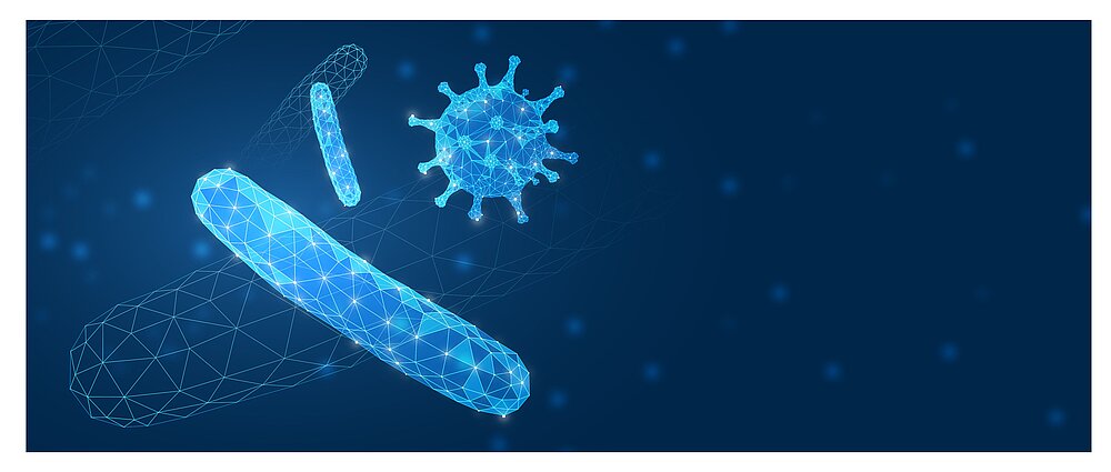 Bild Immunologie Würzburg Infektionsimmunologie