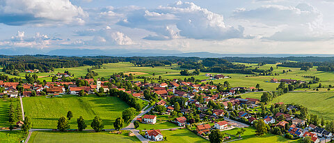 Dörfer sind als Lebensraum für bestäubende Insekten noch wenig erforscht – dabei bieten sie viel Potenzial. 
