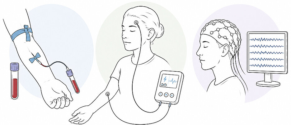 Zum Untersuchungsumfang der Studie gehören eine Blutentnahme, eine Stimulation schmerzleitender Nervenfasern und ein EEG.