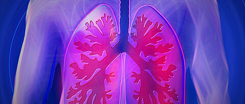 Bei der Lungenkrankheit COPD kommt es zu einer Verengung der Atemwege.