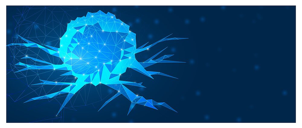 Foto Immunologie Würzburg Tumorimmunologie