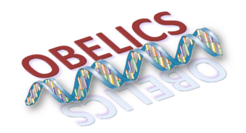 OBELICS Logo