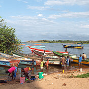 Auf der großen Insel Ukerewe werden zentrale  Projekte des neuen Zentrums zur Bekämpfung der Tropenkrankheit  Schistosomiasis durchgeführt.
