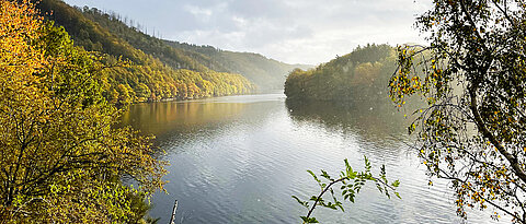 Der Urfttalstausee war bereits in einem Vorgängerprojekt im Fokus der Forschenden. Er ist bereits über 120 Jahre alt und somit der älteste Stausee der Eifel.. 