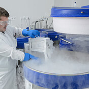 Stammzellen werden im Reinraumlabor unter hochsterilen Bedingungen tiefgefroren und in speziellen Stickstofftanks bei Temperaturen unter -140 Grad Celsius gelagert. 