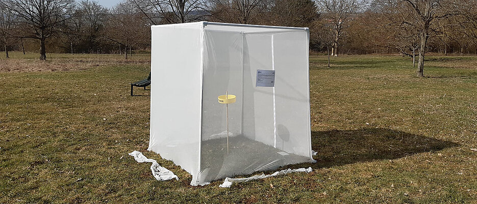 Eine aufgebaute Emergenzfalle. In diesen werden Insekten und Spinnen nach ihrer Winterruhe gesammelt.