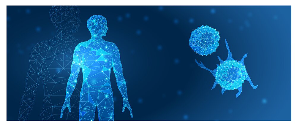 Immunologie in Würzburg Systemimmunologie