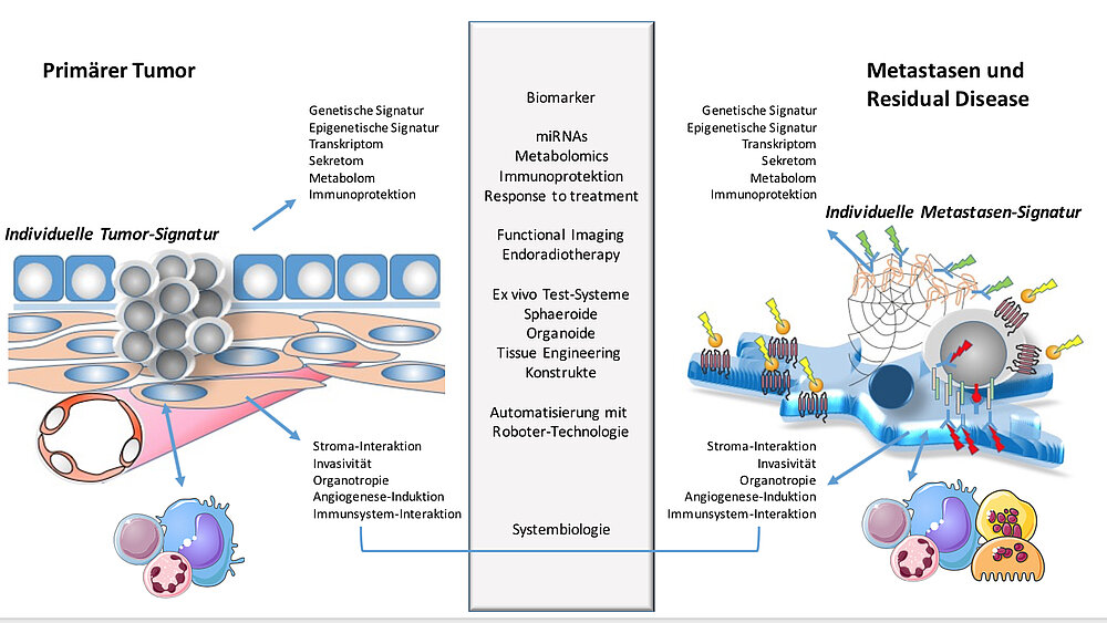 Mechanismen der Tumorentstehung und Metastasierung