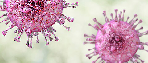 Zytomegalieviren können lebensbedrohlich sein, wenn sie auf ein schwaches Immunsystem treffen.