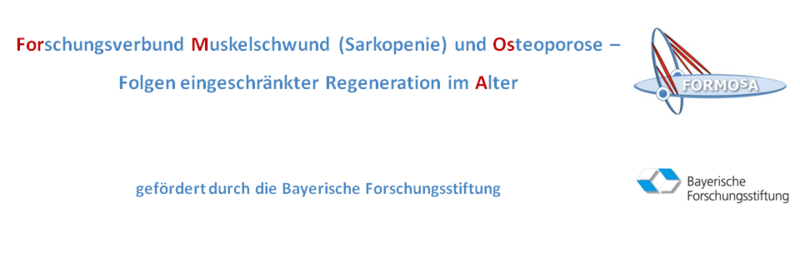 "Forschungsverbund Muskelschwund und Osteoporose - Folgen eingeschränkter Regernation im Alter" FORMOSA