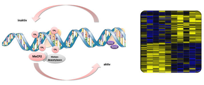 Epigenetik