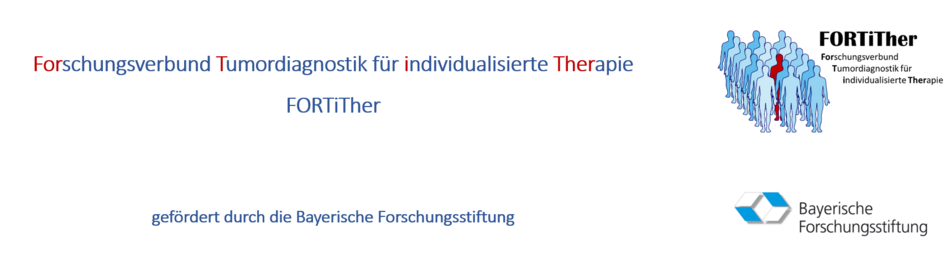 Forschungsverbund Tumordiagnostik für individualisierte Therapie