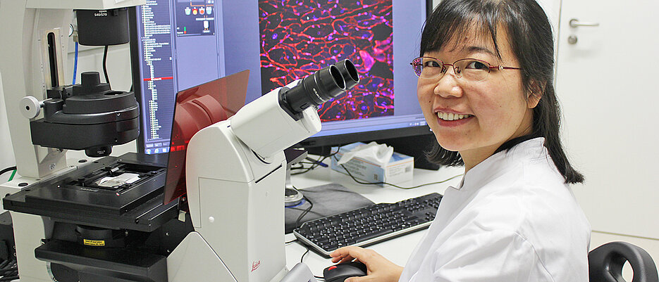 Die Biomedizinerin Ruping Chen (PhD) hat sich auf die Erforschung von Alterungsprozessen spezialisiert. 